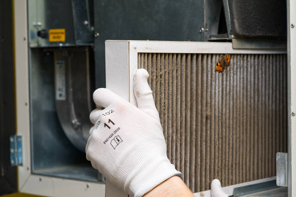 Best Affordable Duct Cleaning Services  in , WY
