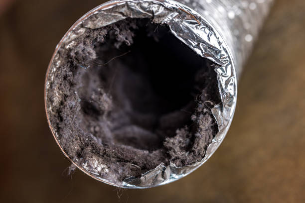 Best Commercial Air Duct Cleaning  in , WY